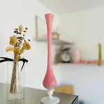 Le Pop Vintage Διαμέρισμα Ρουαγιάν